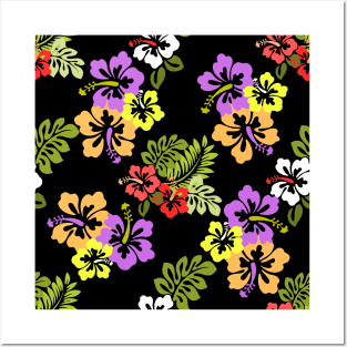 Colorful Hibiscus Flowers in Black Posters and Art